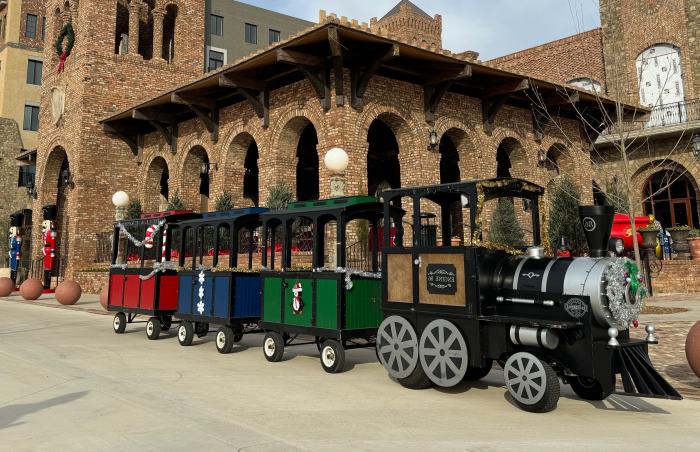 Trackless Train